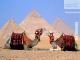 Cairo, Luxor, Aswan, Hurghada, Edfu, Kom Ombo Tour 2